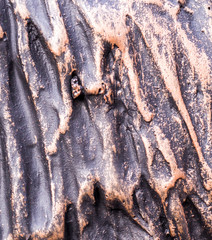 polished wavy bronze texture. background, concept