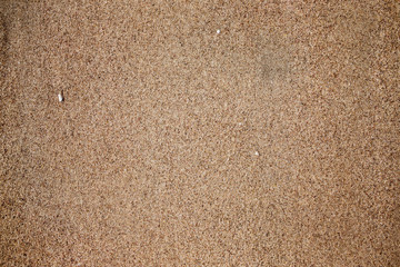 tausend und eine nacht in dubai