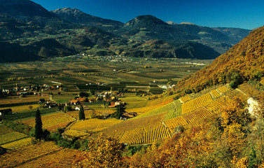 Etschtal bei Terlan, Herbstfarben