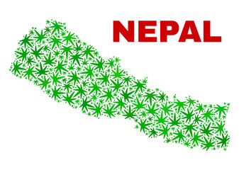 Vector cannabis Nepal map collage. Template with green weed leaves for weed legalize campaign. Vector Nepal map is formed with weed leaves.