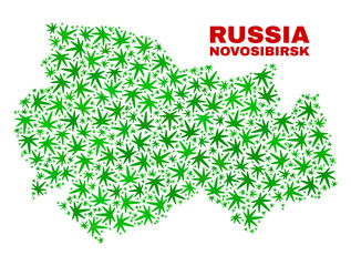 Vector cannabis Novosibirsk Region map collage. Template with green weed leaves for cannabis legalize campaign. Vector Novosibirsk Region map is composed with cannabis leaves.