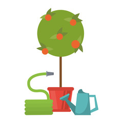 Gardening plants and tools