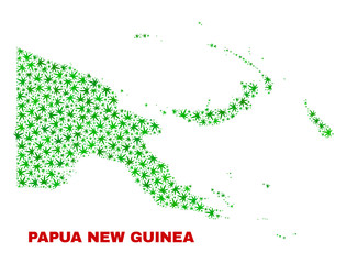Vector marijuana Papua New Guinea map collage. Concept with green weed leaves for weed legalize campaign. Vector Papua New Guinea map is designed of marijuana leaves.