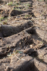 a tractor track in the dirt