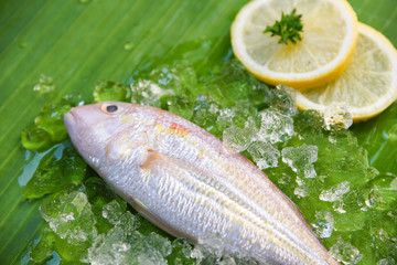 Fresh fish seafood on ice and lemon parsley on banana leaf background