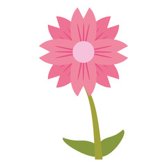 Beautiful flower cartoon isolated