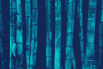 bamboo forest pattern background green old thick not even duotone