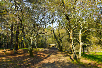 Dolmen de axeitos, Galicia. Su llegada