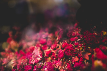 tausend und eine nacht im orient