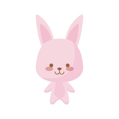 Obraz na płótnie Canvas cute rabbit animal character
