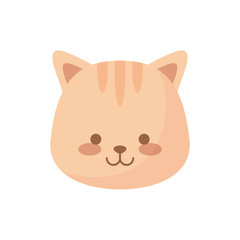 head of cute cat animal character