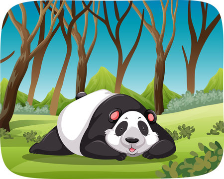 Panda in forest scene