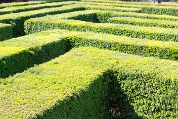 Kommunikations gestalten 