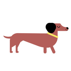 Badger-dog flat illustration