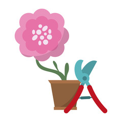 Gardening plants and tools