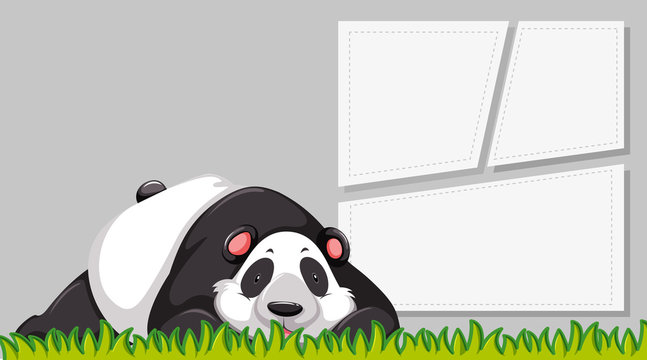 A panda on blank banner