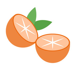 Oranges flat illustration