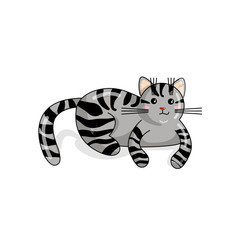 Fototapeta na wymiar Vector Character of American Shorthair Cat in Kawaii Style. Cute Cartoon Kitty Character. Funny Kitten isolated on White Background. Sticker of Kawaii Pet. Flat design. Usable for Children's Book
