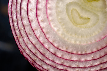 Close-up of the rings of a freshly sliced red onion
