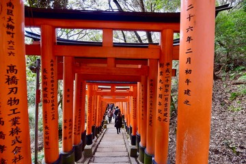 Fototapeta na wymiar 日本の京都の伏見稲荷大社の鳥居