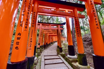 日本の京都の伏見稲荷大社の鳥居