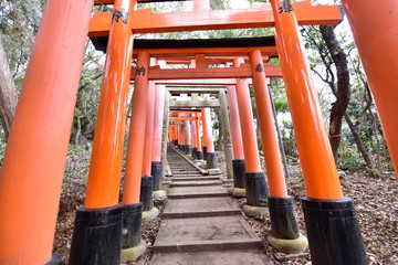 日本の京都の伏見稲荷大社の鳥居