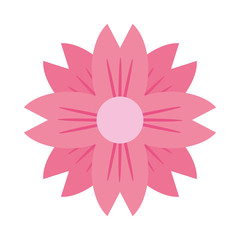 Fototapeta premium Beautiful flower cartoon isolated