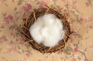 Digital Newborn Backdrop on a Floral Surface
