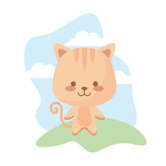 Obraz na płótnie Canvas cute cat animal in landscape