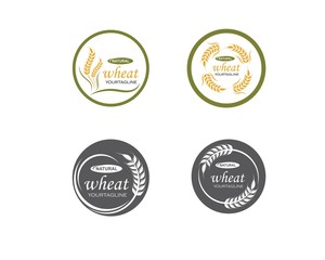 Agriculture wheat Logo Template vector icon