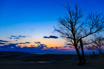 Fototapeta na wymiar 鳥取砂丘の夕景