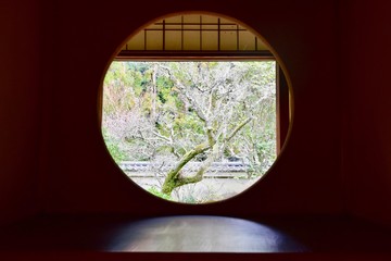 日本の京都の寺, 雲龍院, 悟りの窓, 迷いの窓