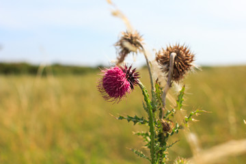 Obraz premium luft meer und wasser