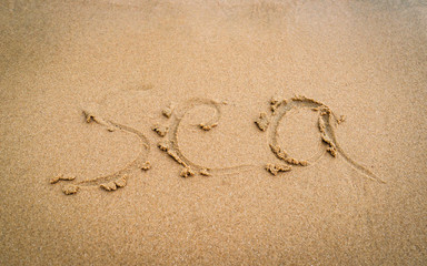 text on sand beach sea written words 
