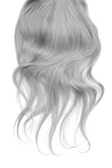 Fototapeta premium Long wavy gray hair isolated on white background