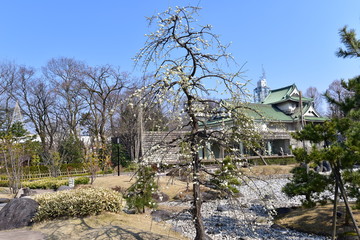 富山の城と美術館と立山