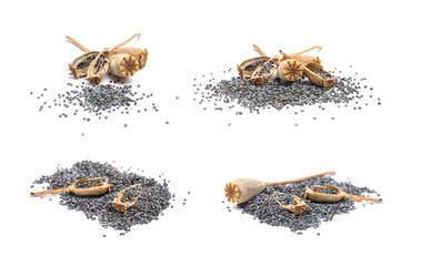Set of dry poppy heads with seeds on white background