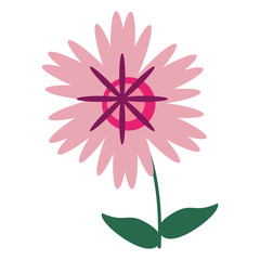 Beautiful flower cartoon isolated