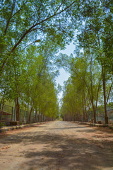 Road