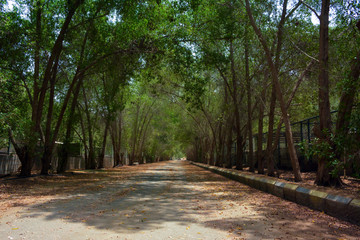Beautiful village road in Jeddah, Saudi arabia