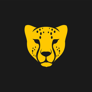 cheetah head logo icon designs vector illustration template