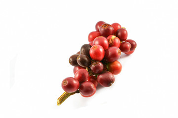 Fresh red coffee beans on branch isolated on white background