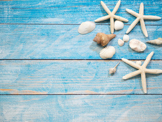 Marine objects, shells and starfish on wood