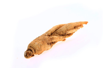 Ginseng on a white background