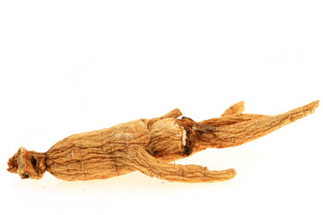 Ginseng on a white background