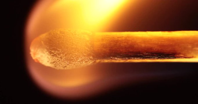 Extreme close up of a burning matchstick. The match quickly chars and curls out of frame.