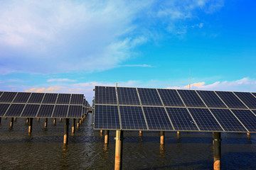 Solar panels on the water