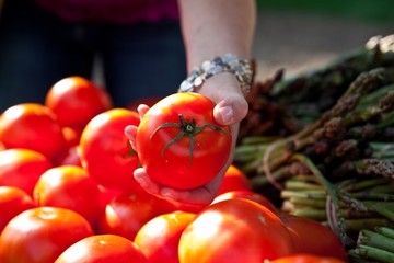 Farmers Market Tomatoes