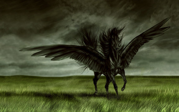 3d illustration fantasy graphic background of a black horse in a field