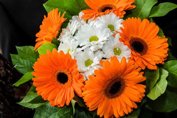 White daisies and orange gerberas